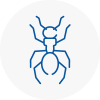 Ant Removals In St Johns