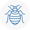 Bed Bug Extermination In St Johns