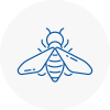 Bee Nest Removal St Johns