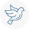 Bird Prevention St Johns