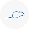 Mice Exterminators In St Johns