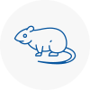 Rat Control St Johns